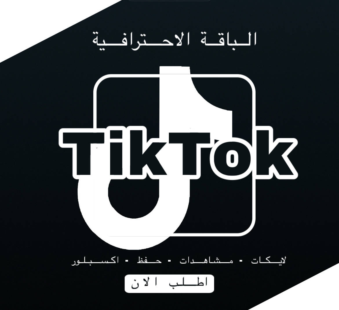 باقة TikTok الاحترافية